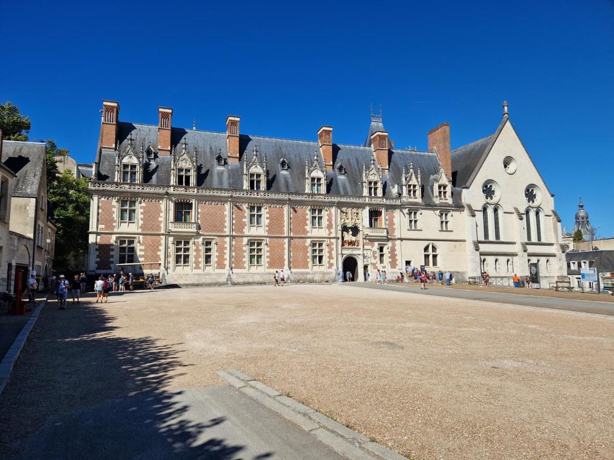 Le Saint Jean Et Son Parking Privee Apartment Blois Exterior foto